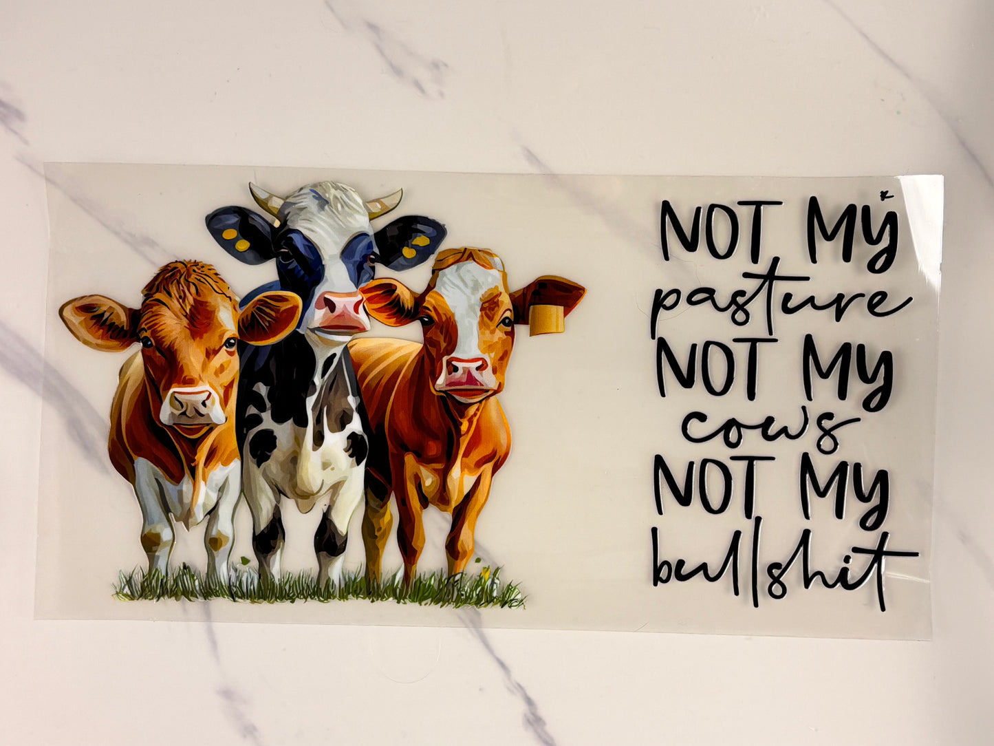 Not my pasture