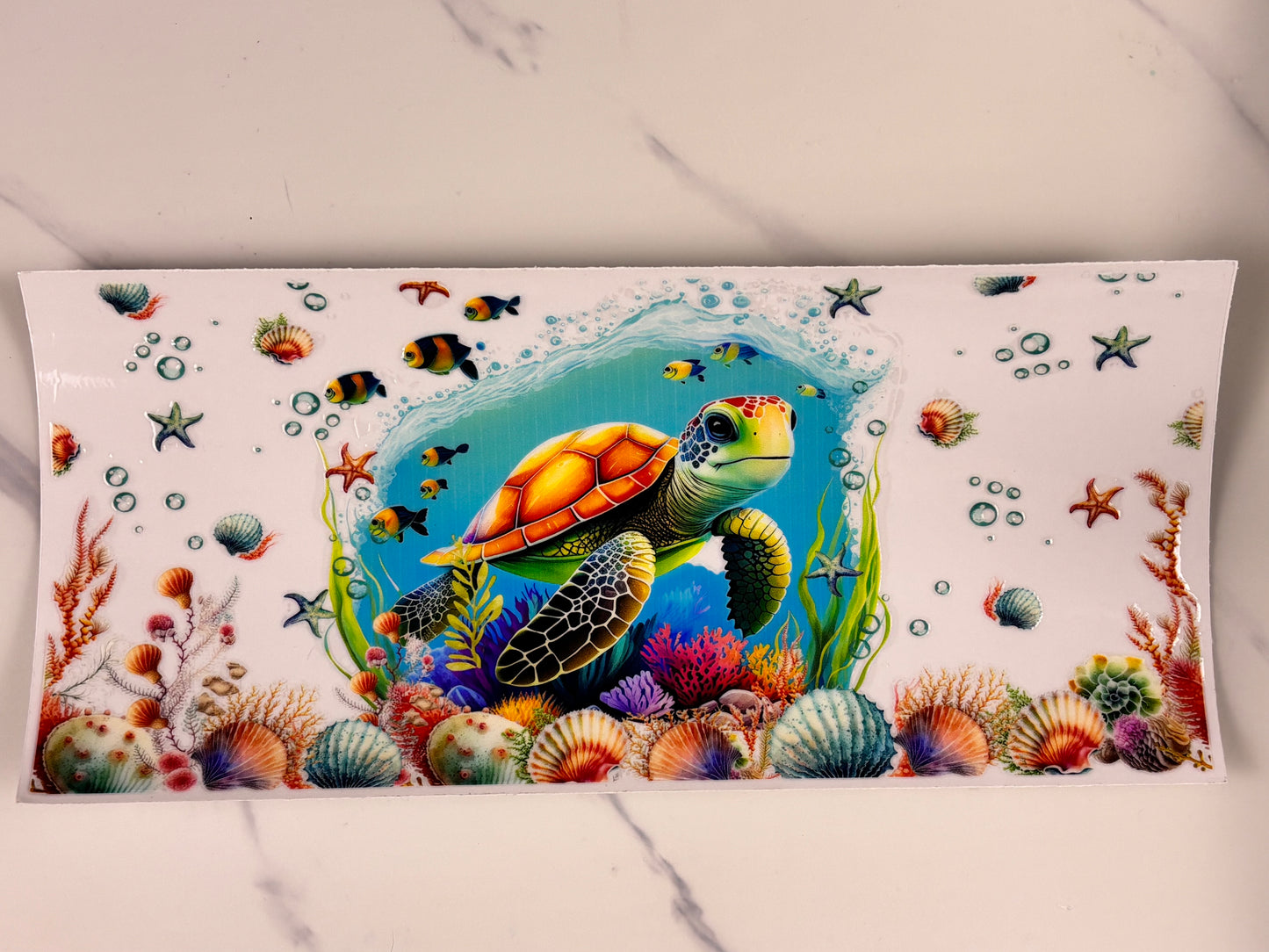 Coral reef turtle 3