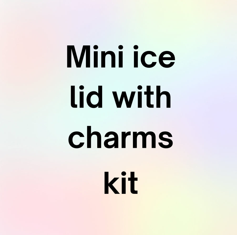 Mini ice lid snow globe kit