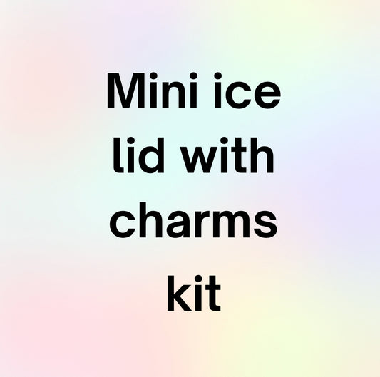 Mini ice lid snow globe kit
