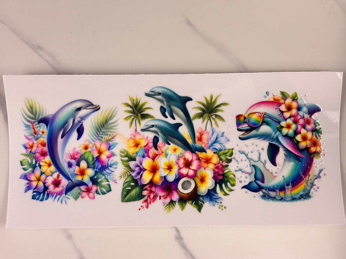 Collection: Dolphin wraps