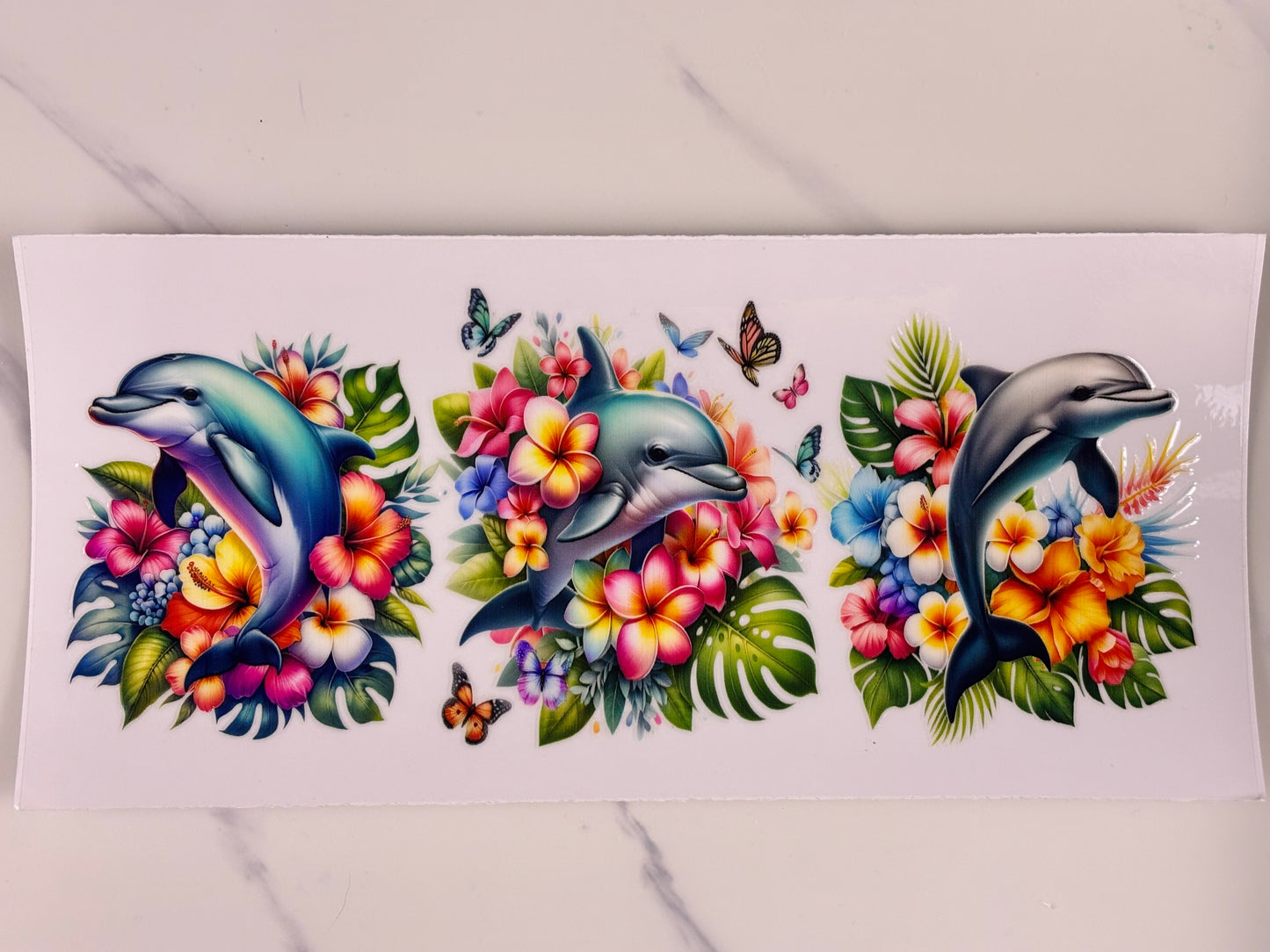 Collection: Dolphin wraps