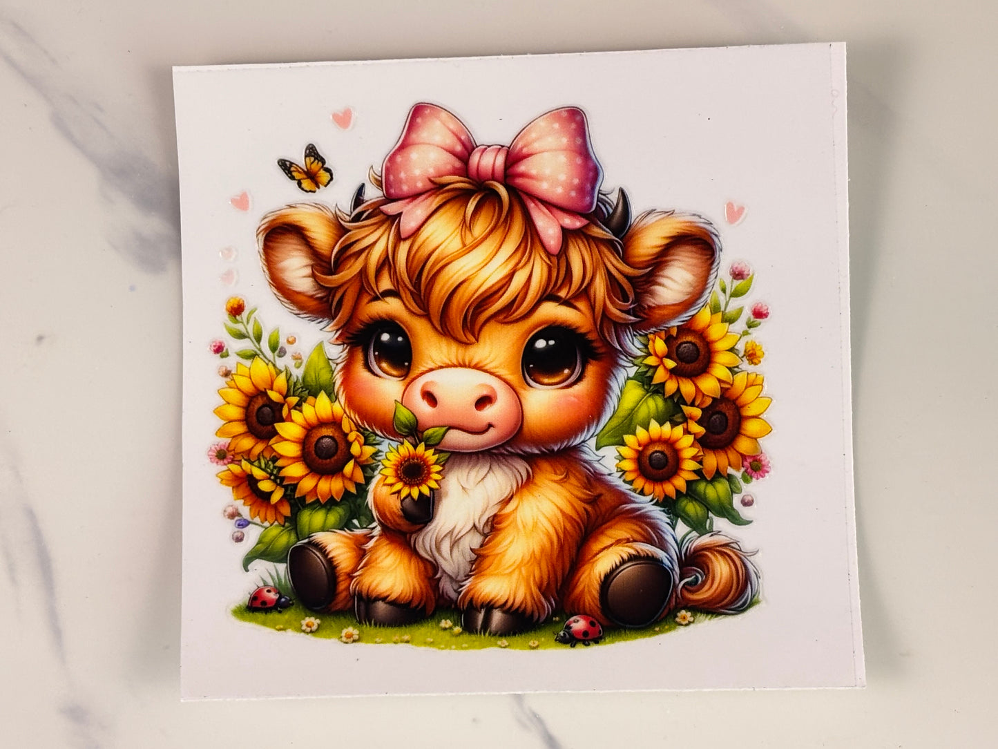 Collection: baby cows with sunflower wraps