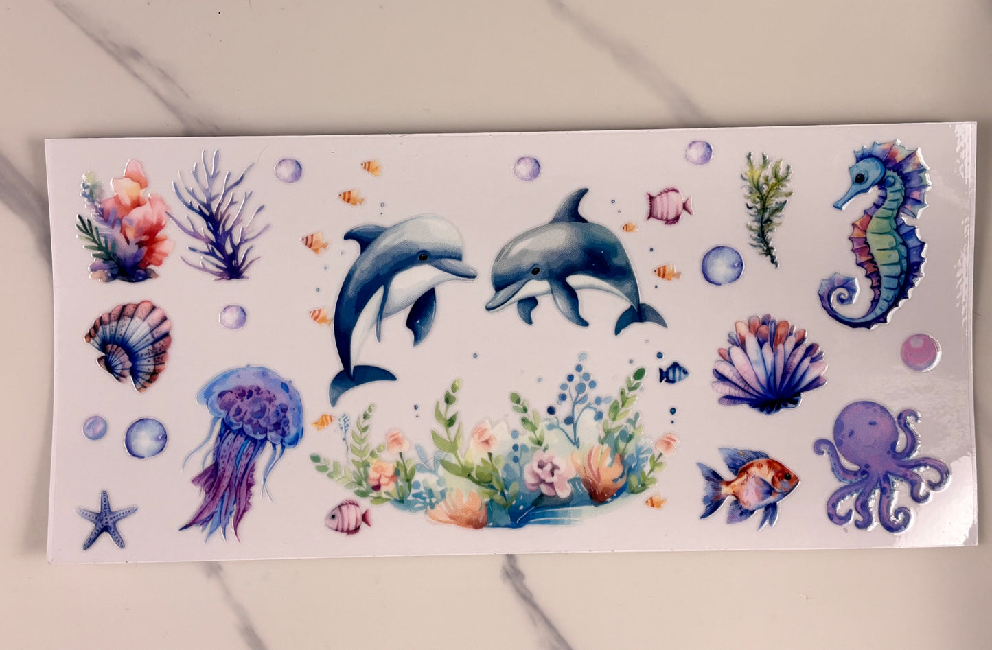 Collection: Dolphin wraps