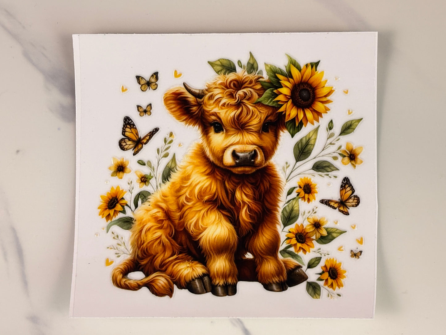 Collection: baby cows with sunflower wraps