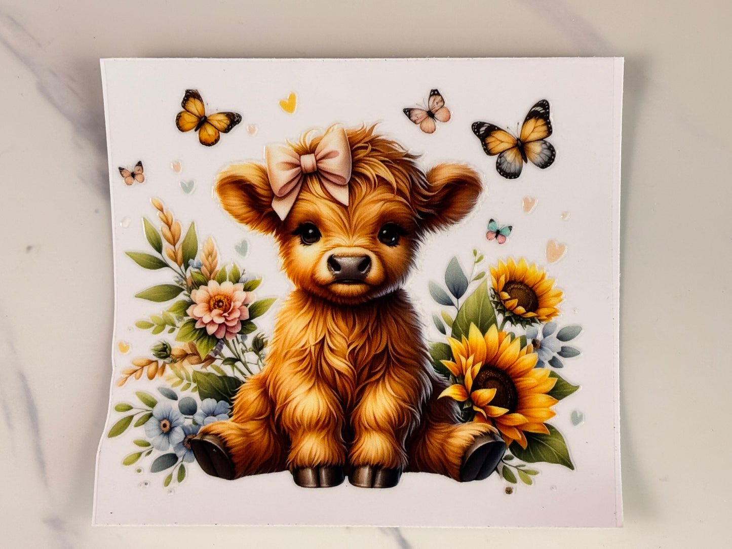 Collection: baby cows with sunflower wraps