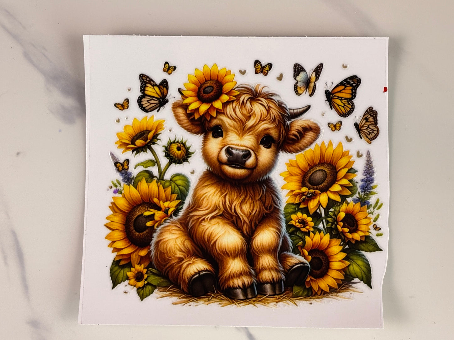 Collection: baby cows with sunflower wraps