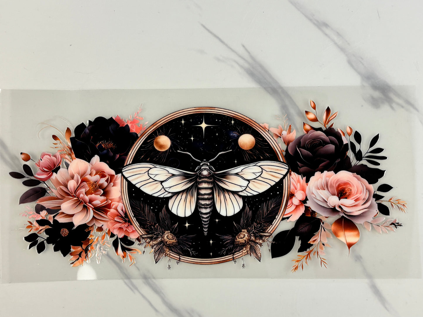 Astral Rose Moth