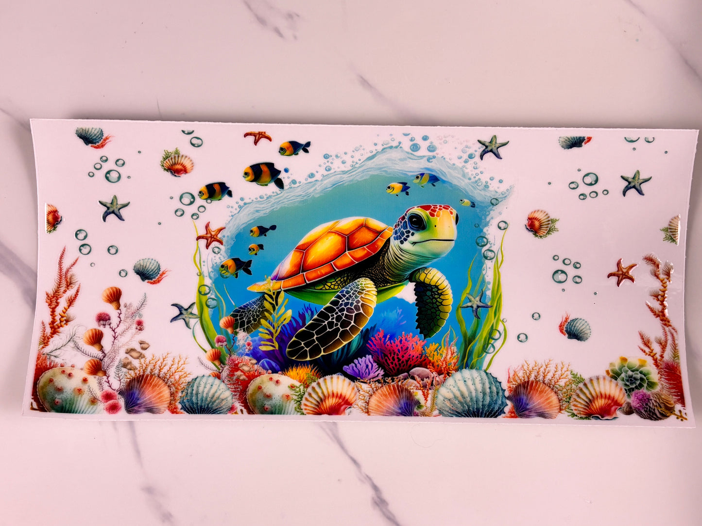 Coral reef turtle 1