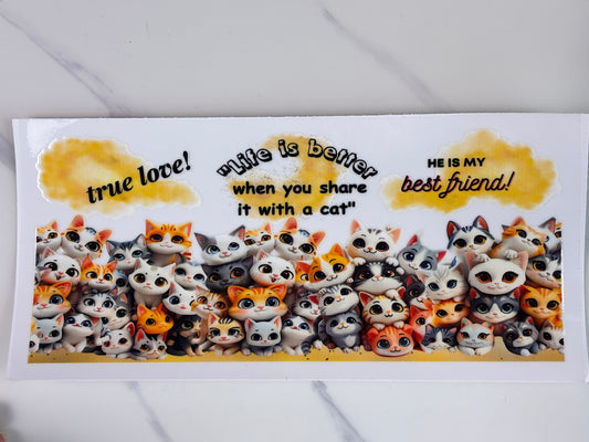 Life is better with cats