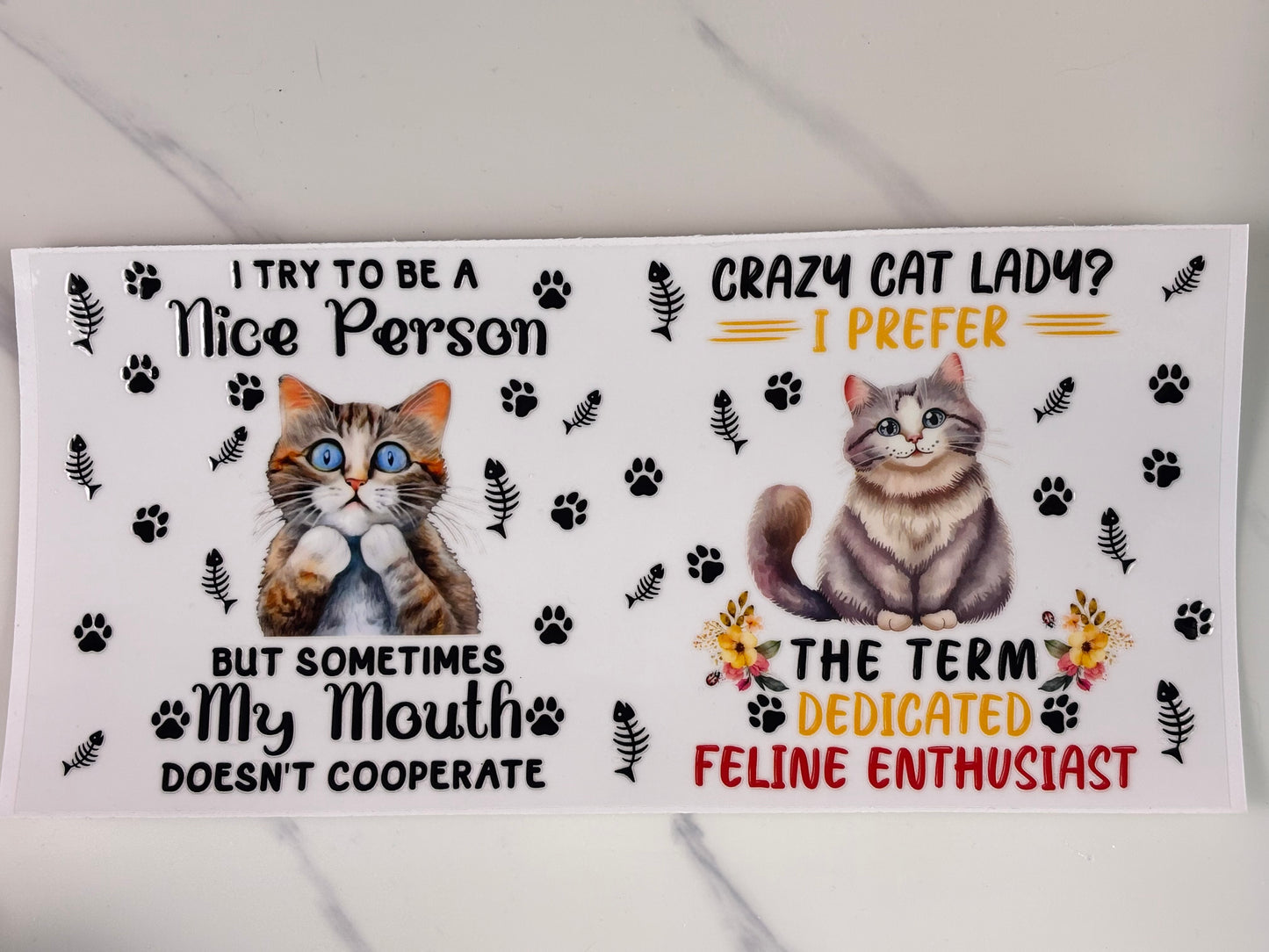Feline Enthusiast