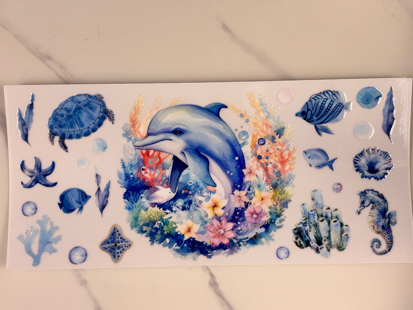 Collection: Dolphin wraps