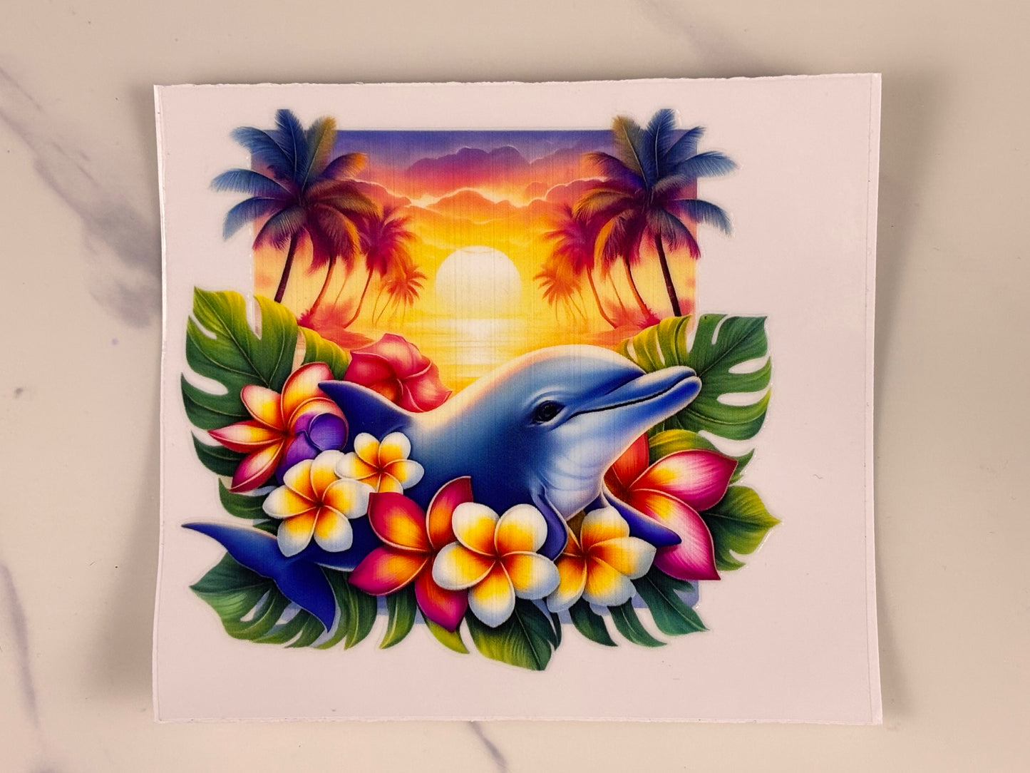 Collection: Dolphin wraps