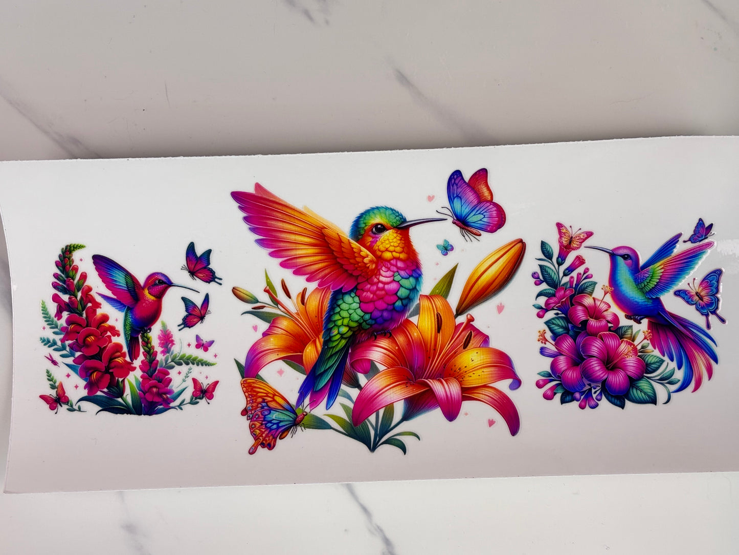 Collection: hummingbird wraps