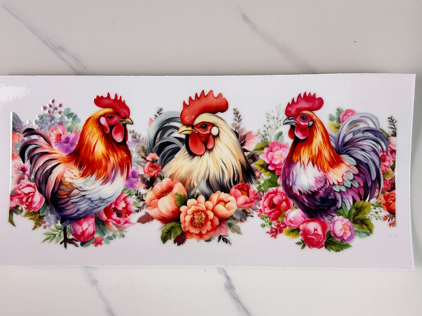 Collection: chicken wraps