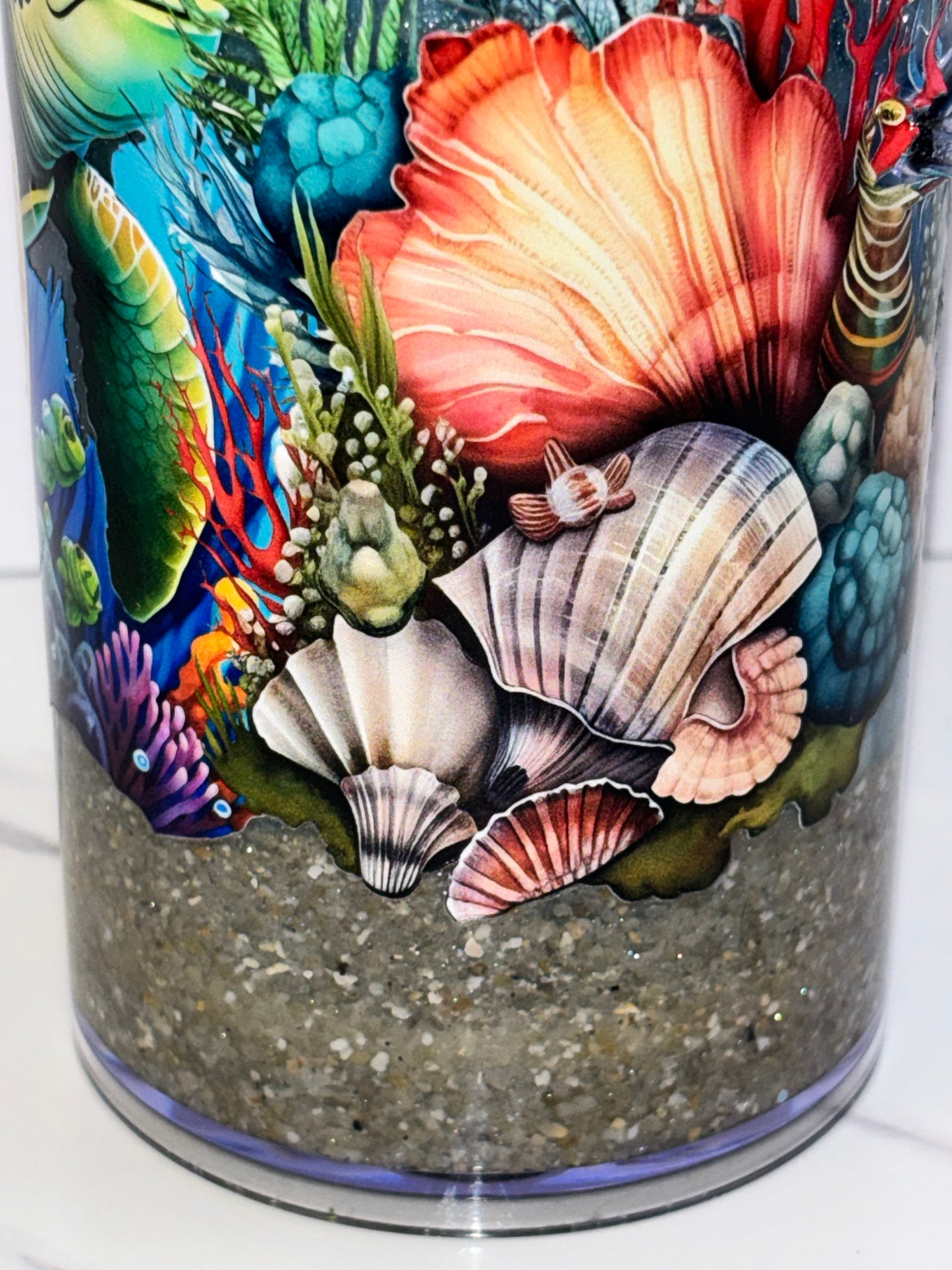 Sea turtle sandy story board