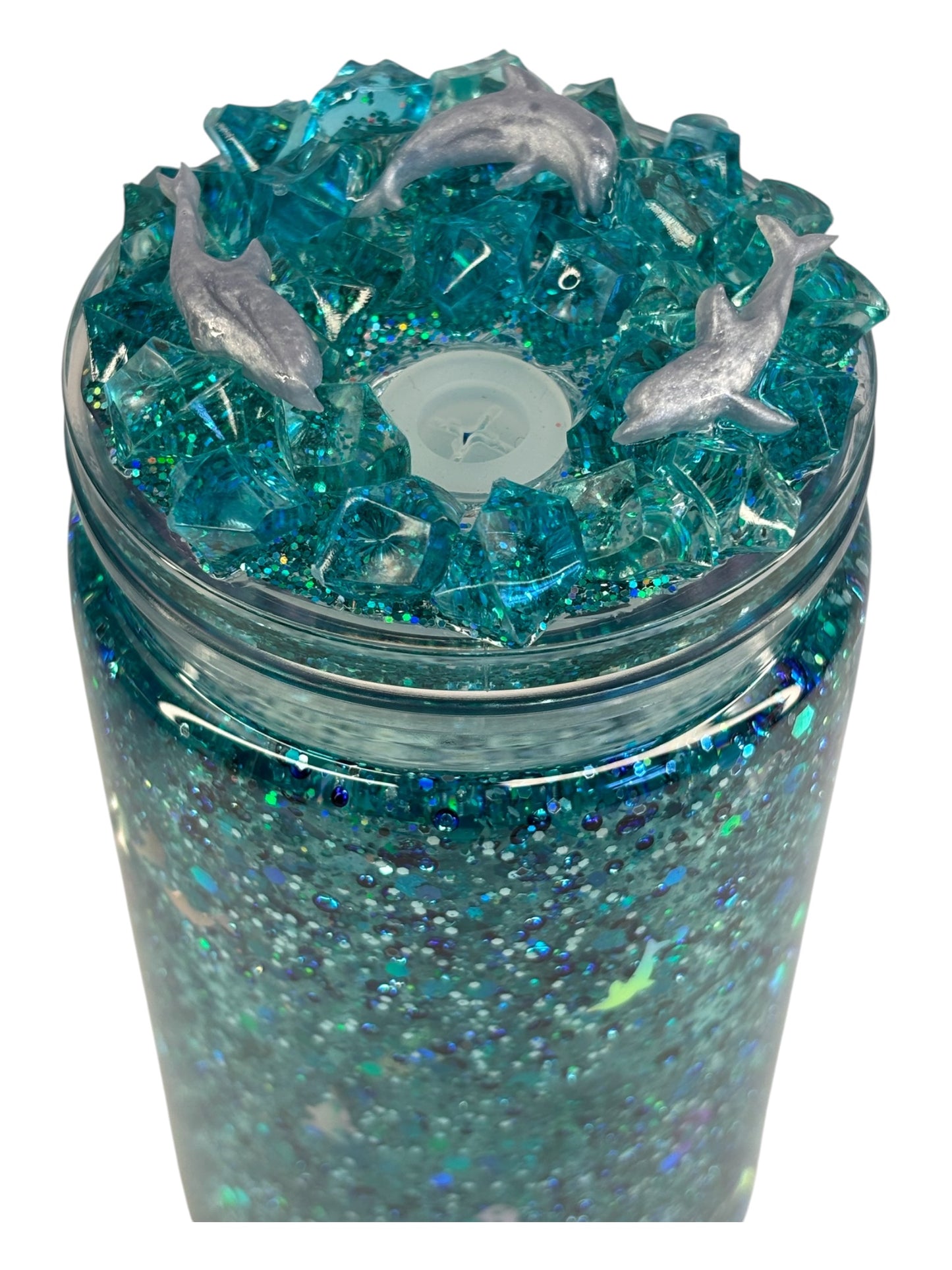 Dolphin Lagoon suspended solution set